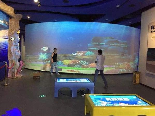 画画水族馆5